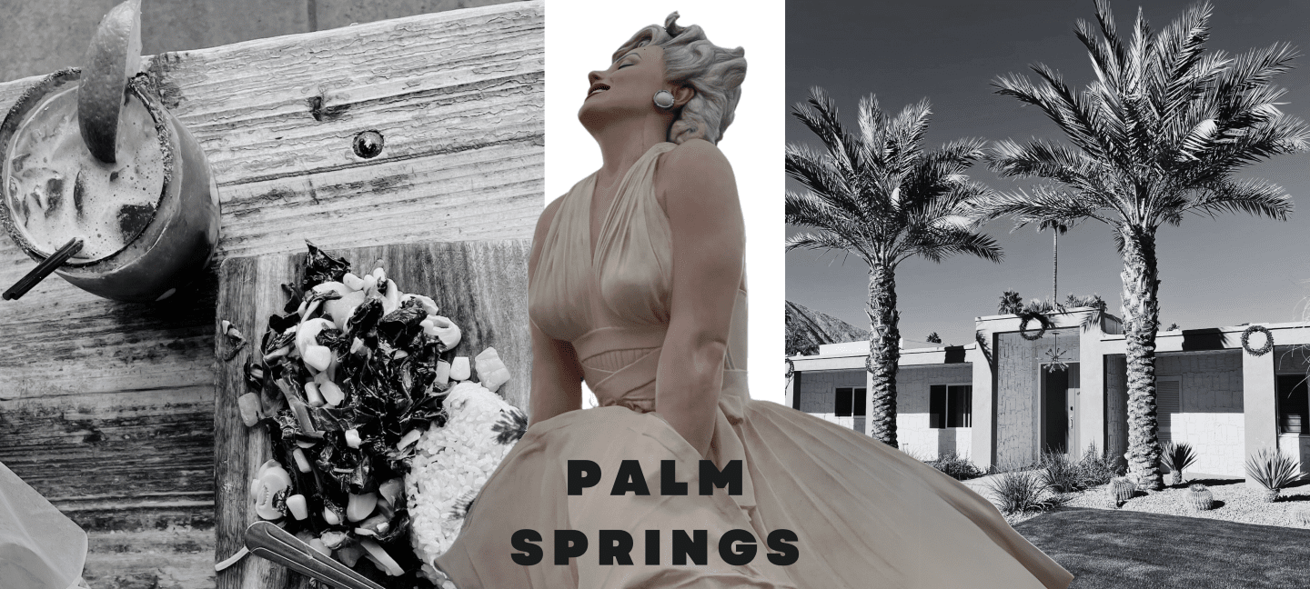 Palm Spring Vacation Image