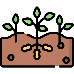 soil moisture